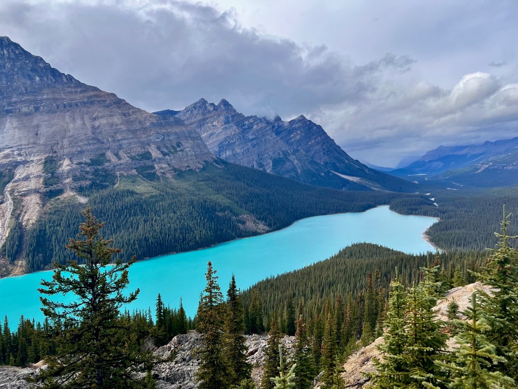 It took 31 years to ‘see my own&nbsp;backyard’